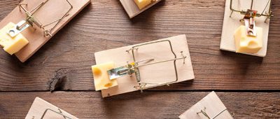 Mouse trap.