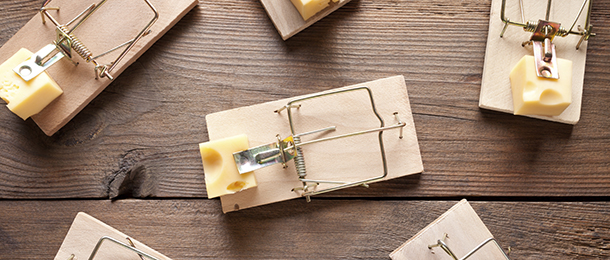 Mouse traps with cheese on old wooden table.