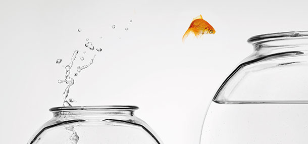 A goldfish jumps out of a bowl into a larger bowl of water.