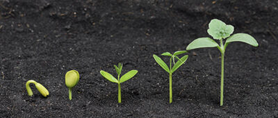 Aiming to fill a gap in the ETF sector, VanEck will release an international growth stock-focused exchange-traded fund.
