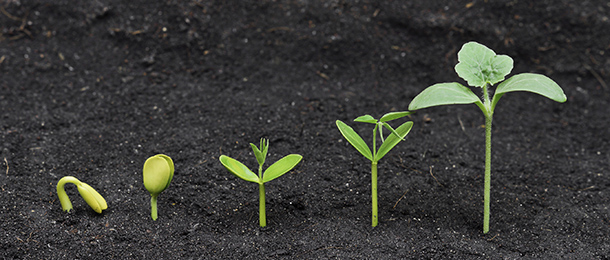 Aiming to fill a gap in the ETF sector, VanEck will release an international growth stock-focused exchange-traded fund.