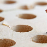 A new framework has been put forward that will simplify the provision of advice, but ranks SMSFs as complex and risky.