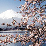 Global X's latest ETF launch provides access to some of the most well-known Japanese companies at a low cost.