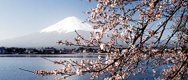 Global X's latest ETF launch provides access to some of the most well-known Japanese companies at a low cost.