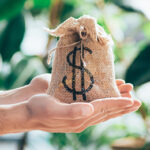 The number of SMSFs using an LRBA has fallen, but the value of underlying assets has continued to grow.